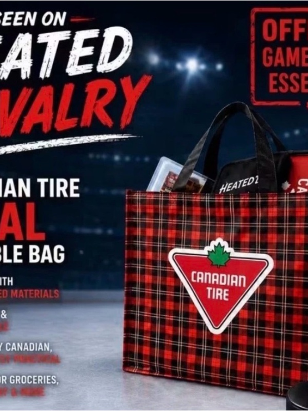 BRAND NEW Canadian Tire Buffalo Plaid Reusable Tote Bag seen on Heated Rivalry - Picture 4 of 4